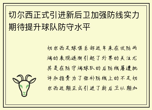 切尔西正式引进新后卫加强防线实力期待提升球队防守水平