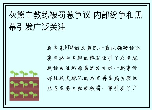 灰熊主教练被罚惹争议 内部纷争和黑幕引发广泛关注